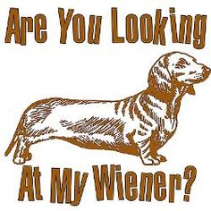 wiener